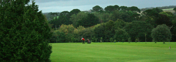 21st crystal day lion truro golf day