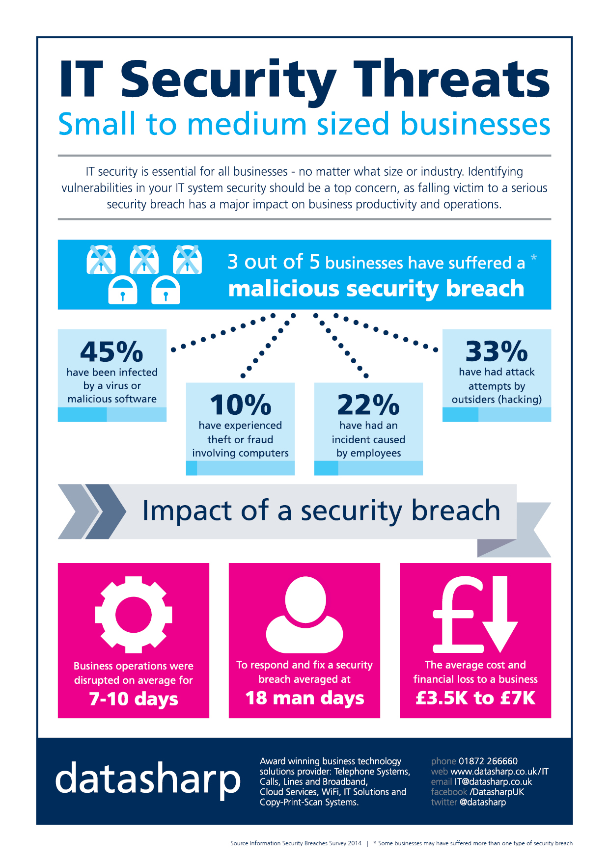 IT Security Infographic 2014